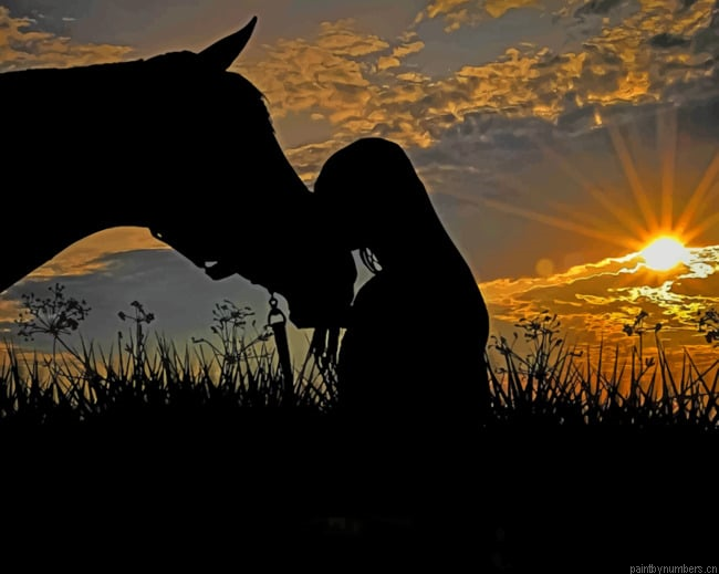 Woman Kissing A Horse Silhouette Painting By Numberss.png