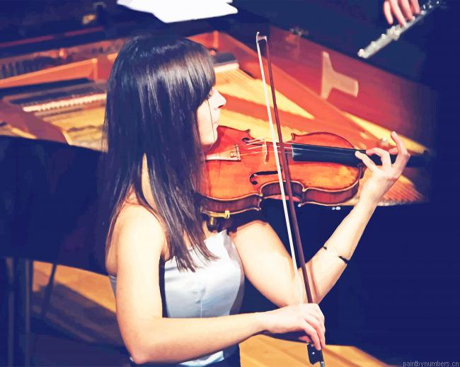Woman Playing Violin Painting By Numberss.png