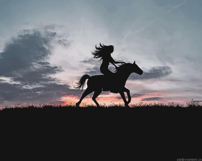 Woman Riding A Horse Silhouette Painting By Numberss.png