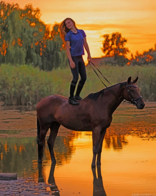 Woman Standing On A Horse Animals Painting By Numberss.png