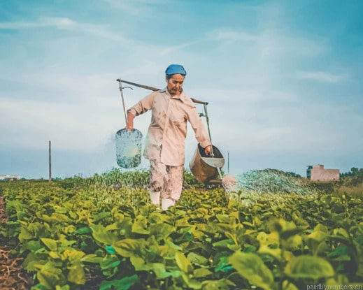 Woman Watering Plants Painting By Numberss.png
