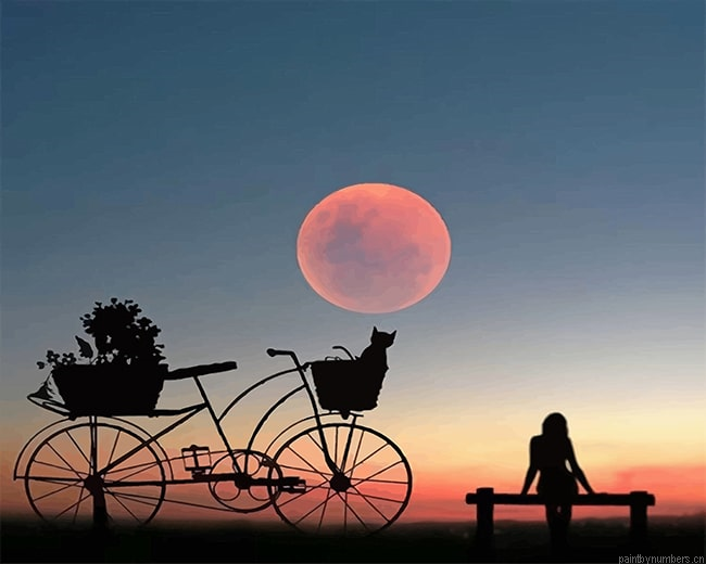 Woman And Cat Silhouette Painting By Numberss.png