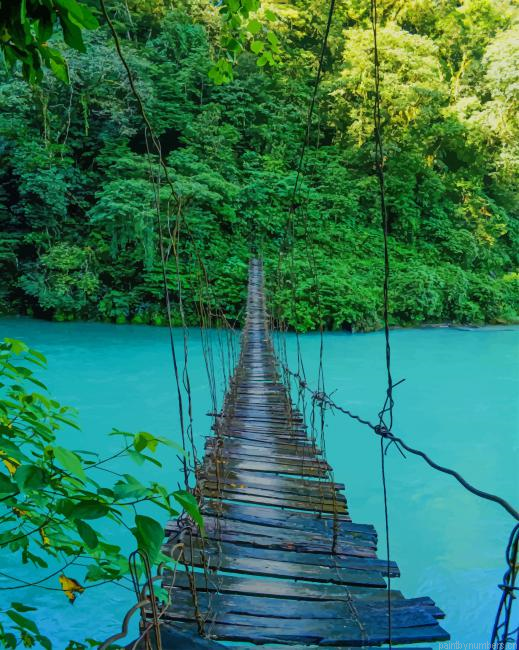 Wooden Bridge Hawaii Nature Painting By Numberss.png