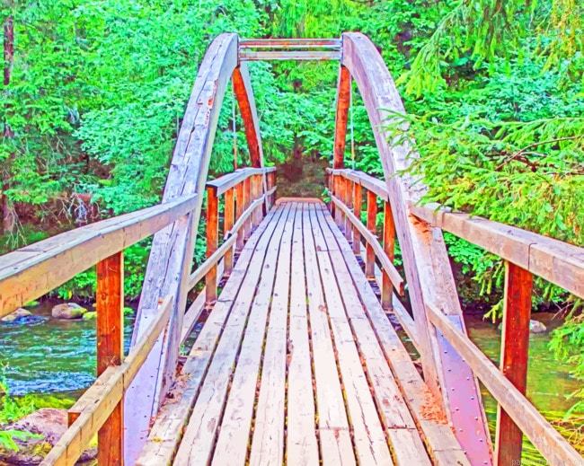 Wooden Bridge Within Trees Painting By Numberss.png