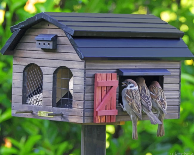 Wooden House For Birds Painting By Numberss.png