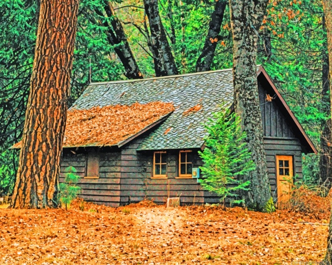 Wooden House Nature Painting By Numberss.png