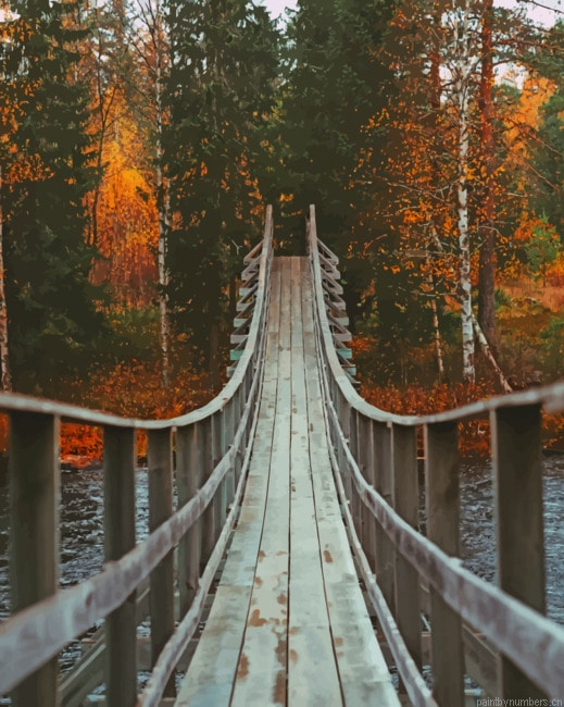 Wooden Jungle Bridge Painting By Numberss.png