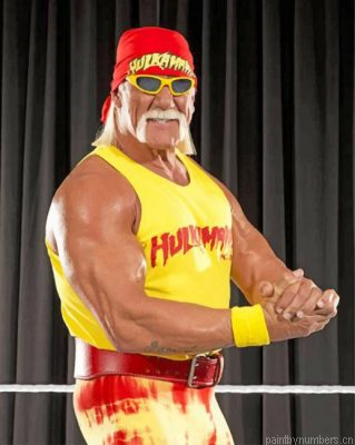 Wrestler Hulk Hogan Painting By Numbers.png