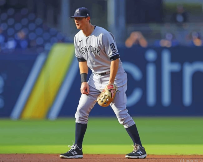 Yankees Team Player Baseball Painting By Numberss.png