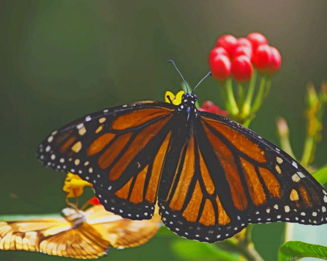 Yellow And Black Butterfly Insects Painting By Numberss.png