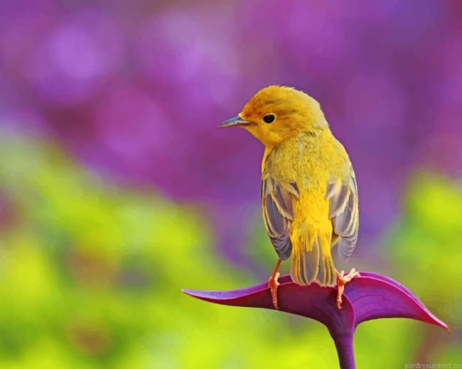 Yellow Bird On Purple Flower Painting By Numberss.png