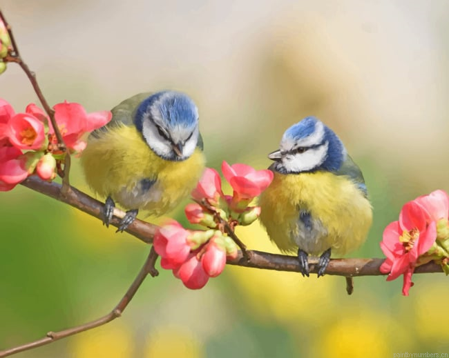 Yellow Birds On A Twig Painting By Numberss.png