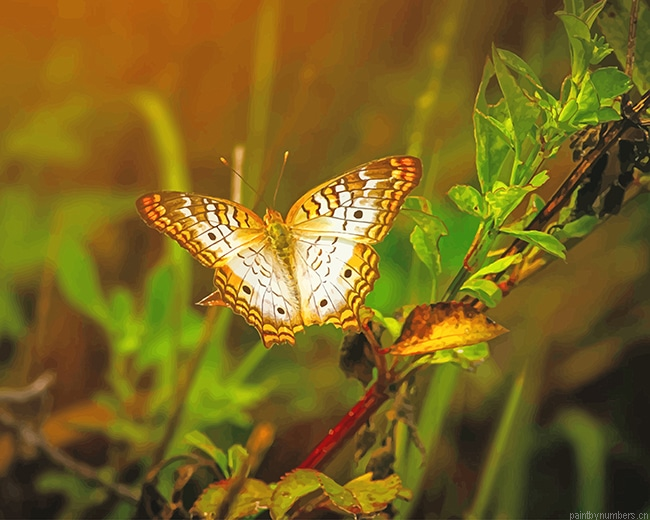 Yellow Butterfly On Leaves Insects Painting By Numbers.png