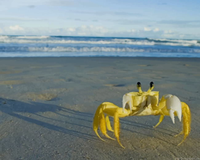 Yellow Crab On Beach Painting By Numberss.png
