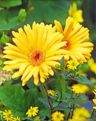 Yellow Gerbera Daisy Painting By Numbers.png