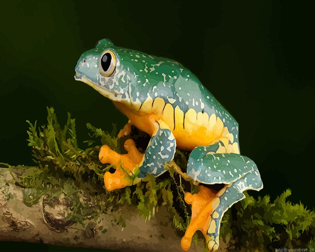 Yellow Green Frog Animals Painting By Numberss.png