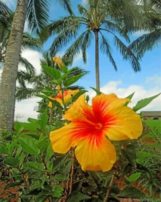 Yellow Hibiscus Painting By Numbers.png