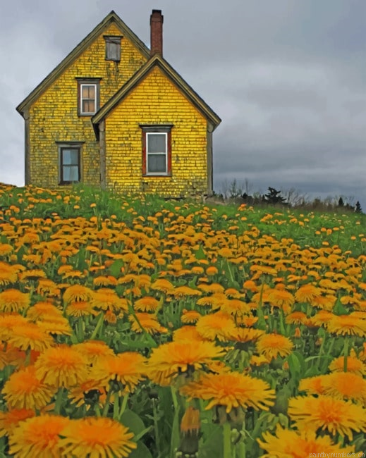 Yellow House Nova Scotia Painting By Numberss.png