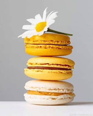 Yellow Macarons Food Painting By Numbers.png