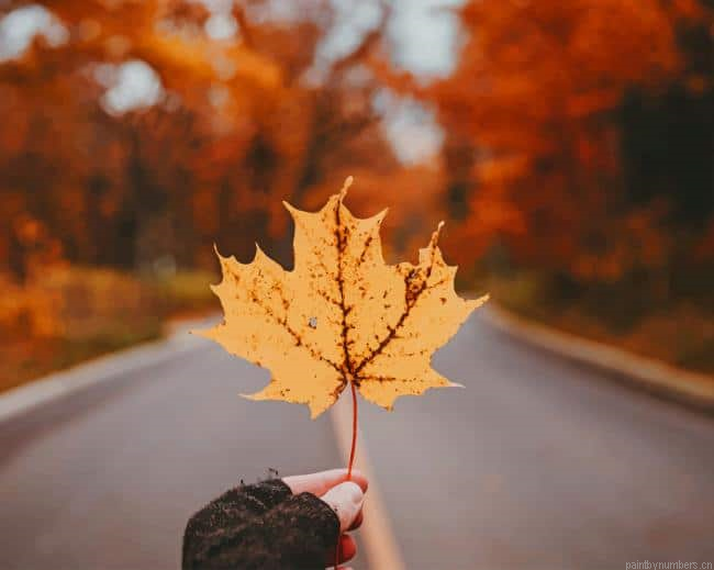 Yellow Maple Leaf Painting By Numberss.png