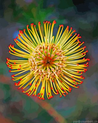 Yellow Protea Painting By Numbers.png
