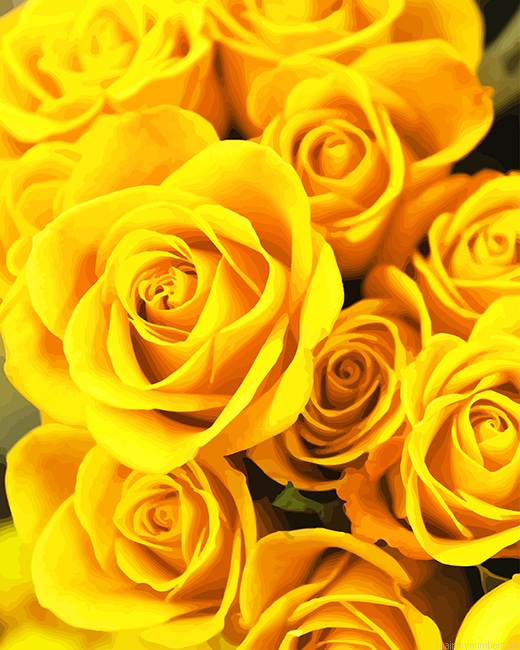 Yellow Roses Flowers Painting By Numberss.png