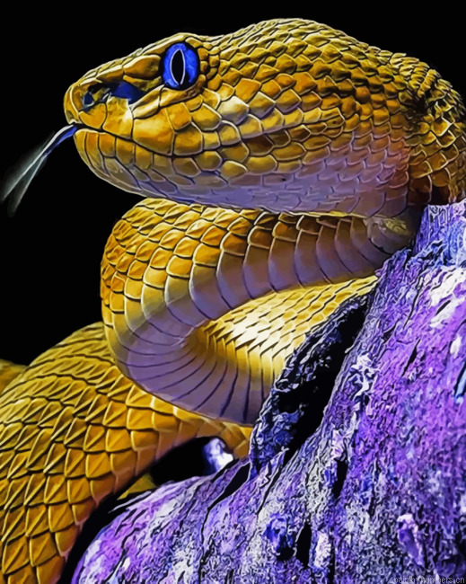 Yellow Serpent Painting By Numbers.png