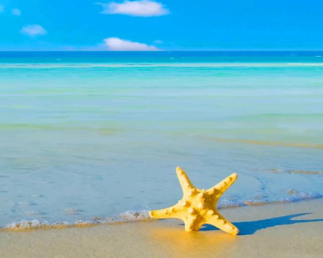 Yellow Star Fish On Beach Painting By Numberss.png