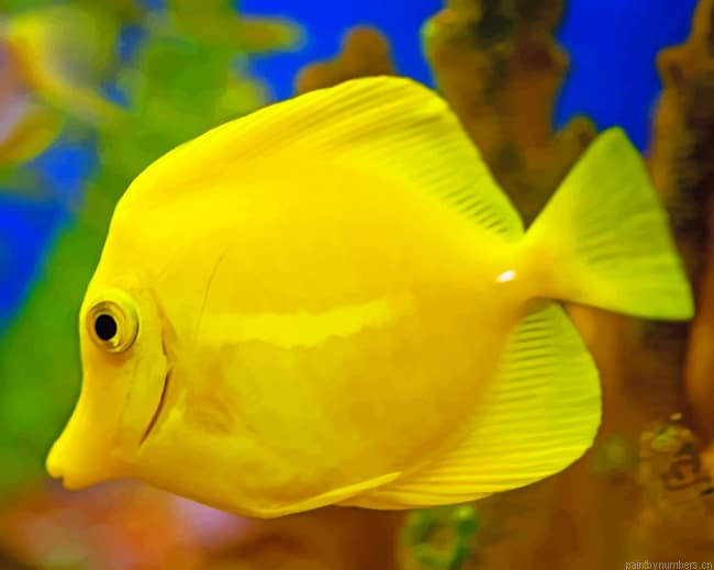 Yellow Tang Fish Aquariums Painting By Numberss.png