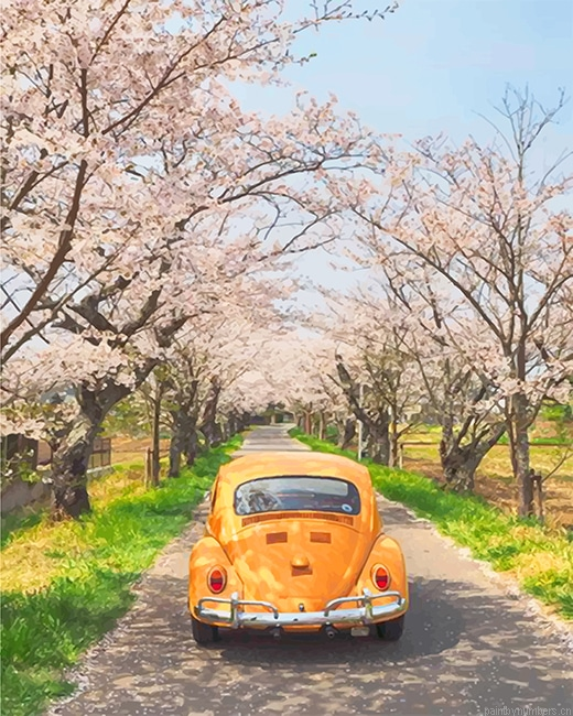 Yellow Vw And Cherry Blossom Painting By Numbers.png