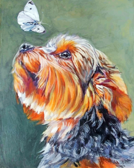 Yorkie And Butterfly Painting By Numberss.png