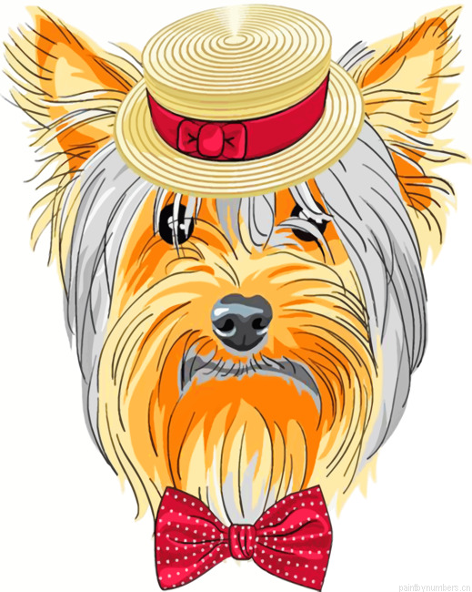 Yorkie Dog Painting By Numberss.png