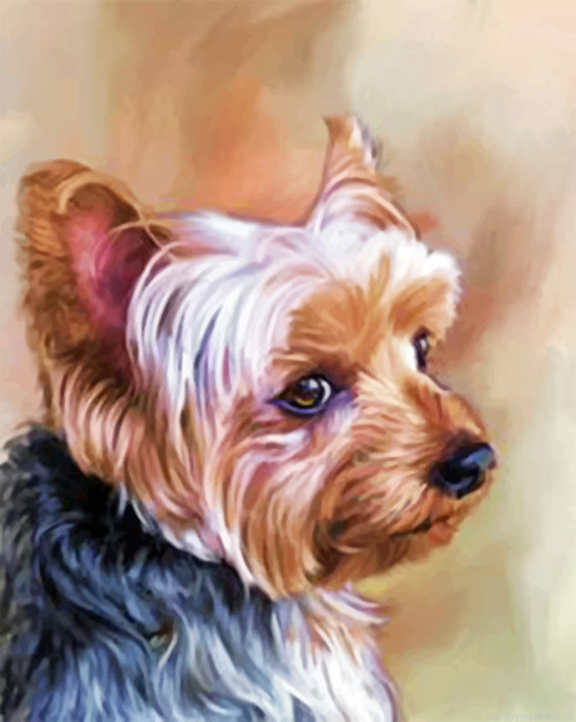 Yorkie Portrait Painting By Numberss.png