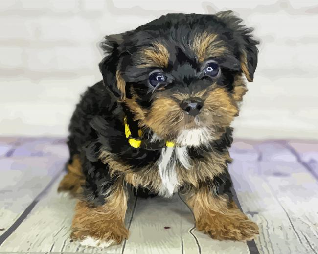 Yorkiepoo Painting By Numberss.png