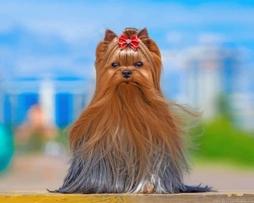 Yorkshire Terrier Painting By Numbers.png
