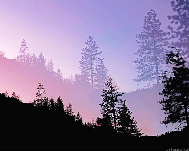 Yosemite Valley Trees Silhouette Nature Painting By Numberss.png