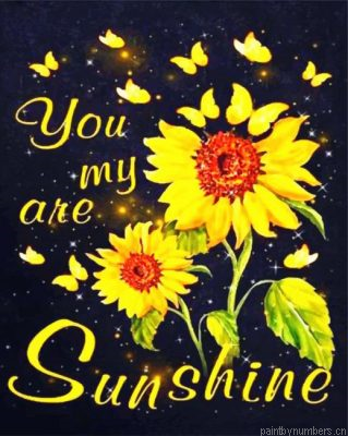 You Are My Sunshine Painting By Numbers.png