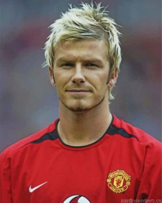 Young David Beckham Painting By Numbers.png