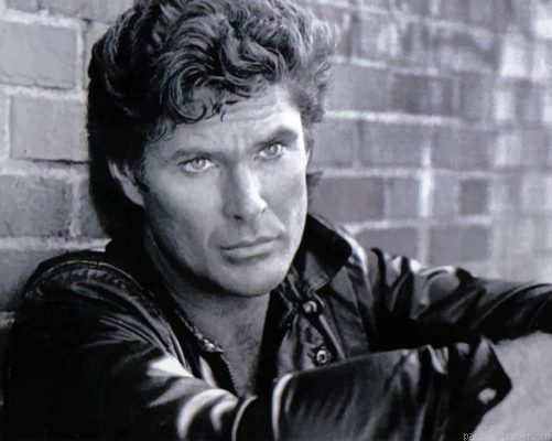 Young David Hasselhoff Painting By Numbers.png