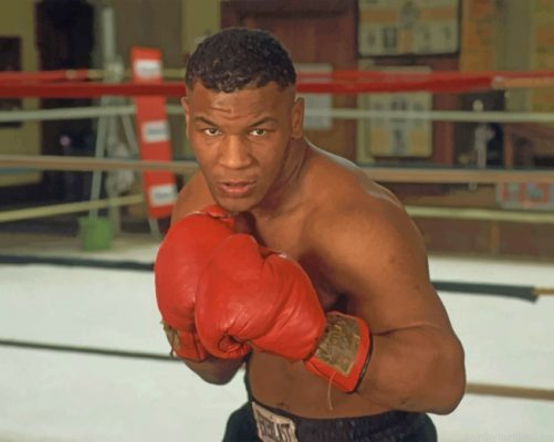 Young Mike Tyson Painting By Numbers.png