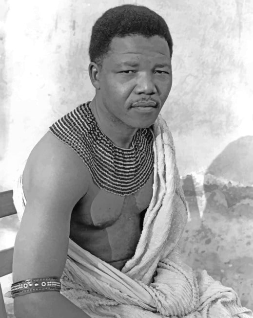 Young Nelson Mandela Painting By Numberss.png