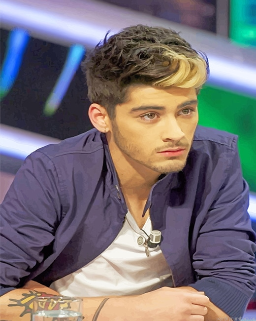Zayn Javadd Malik One Direction Singers Painting By Numberss.png