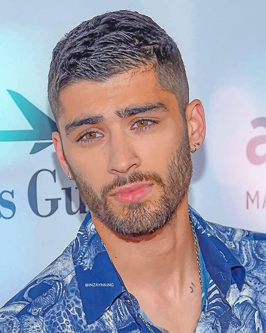 Zayn Malik Singer Painting By Numberss.png