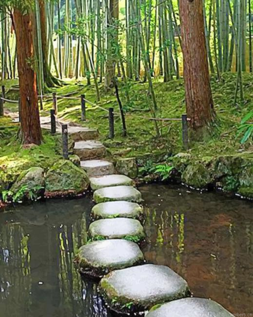 Zen Stone Kyoto Garden Painting By Numberss.png
