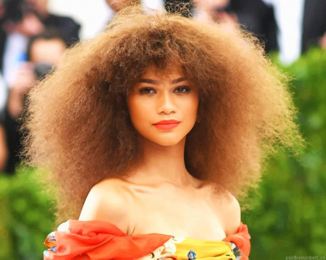 Zendaya Crazy Hair Painting By Numberss.png