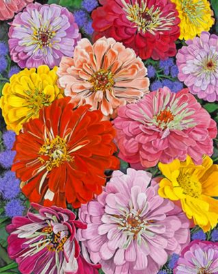 Zinnias Flowers Painting By Numbers.png