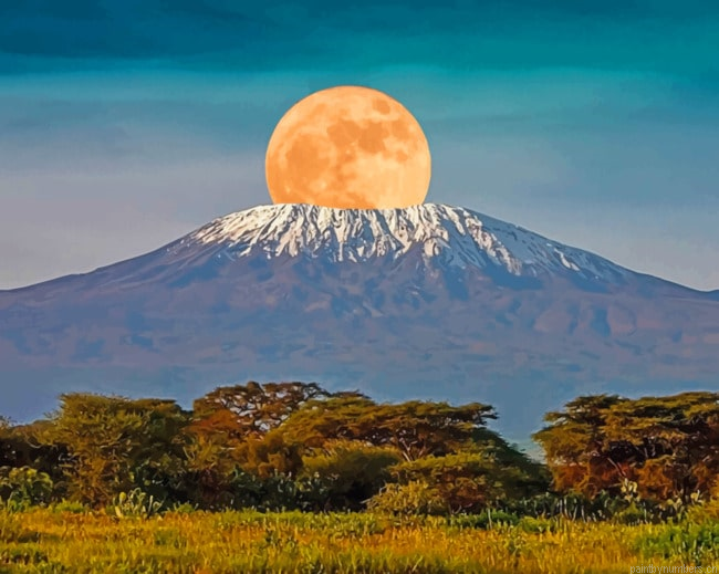 Kilimanjaro Mountain Landscapes Painting By Numberss.png