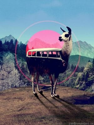 Llama Car Animals Painting By Numbers.png